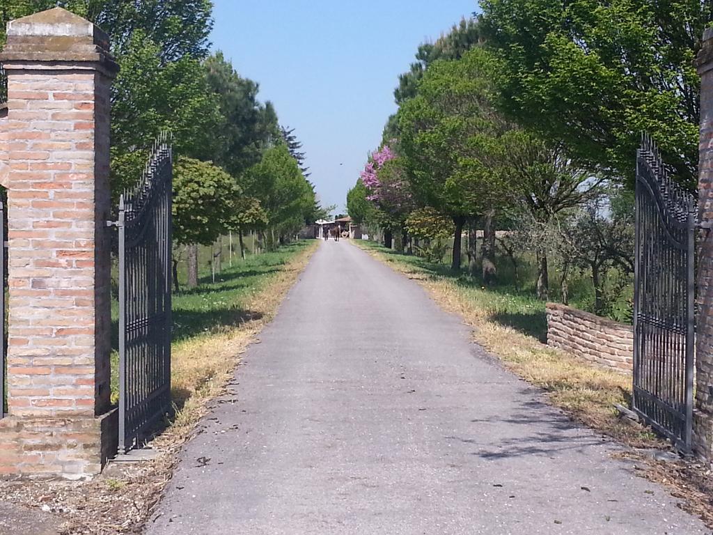 فيلا Alfonsineفي Agriturismo L'Angelina المظهر الخارجي الصورة