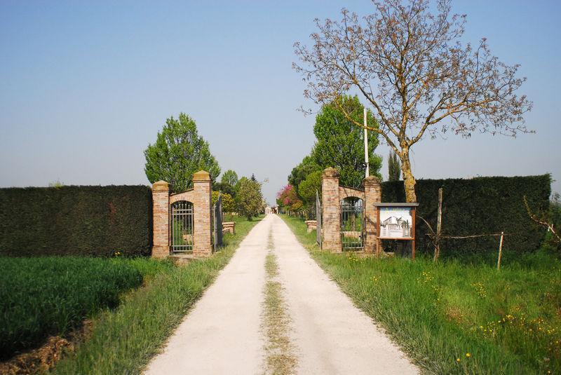فيلا Alfonsineفي Agriturismo L'Angelina المظهر الخارجي الصورة
