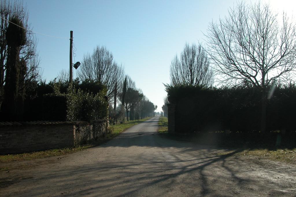 فيلا Alfonsineفي Agriturismo L'Angelina المظهر الخارجي الصورة
