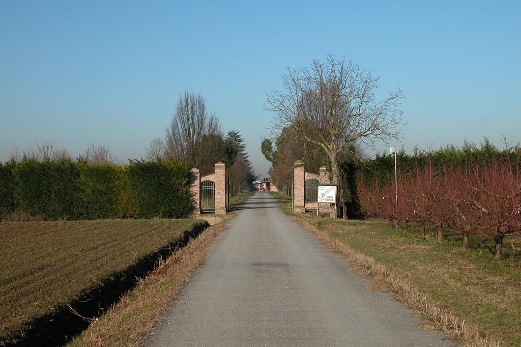 فيلا Alfonsineفي Agriturismo L'Angelina المظهر الخارجي الصورة